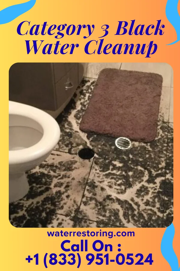 Category 3 Black Water Cleanup in Jenkins, KY
