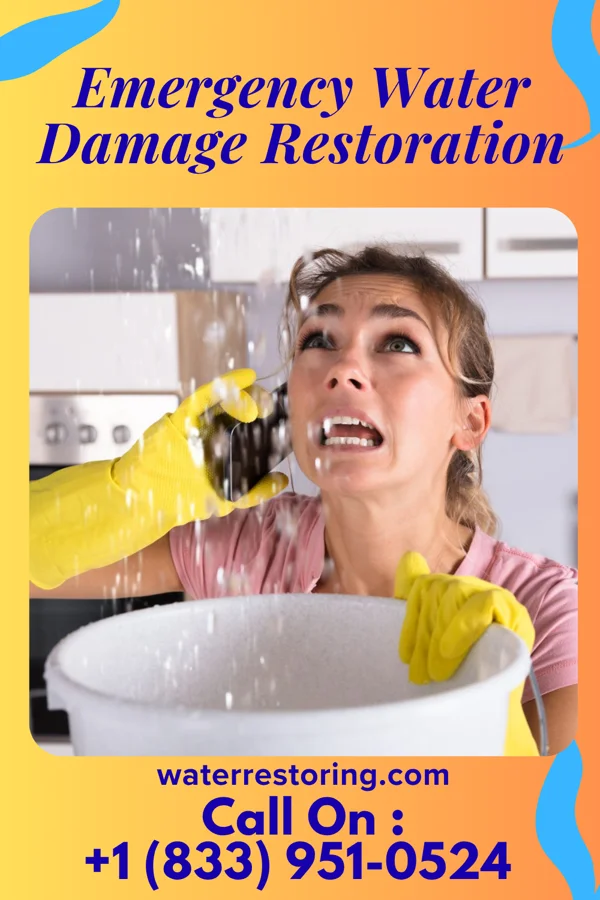 Emergency Water Damage Restoration in Jenkins, KY