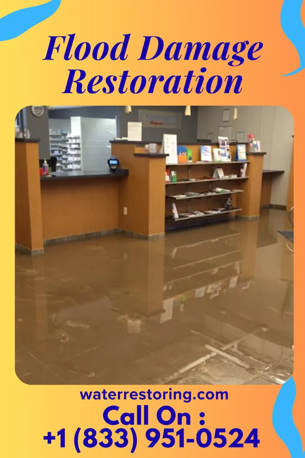 Flood Damage Restoration in Jenkins, KY