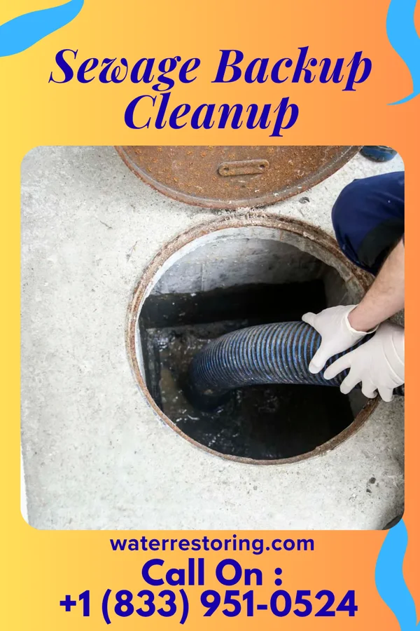 Sewage Backup Cleanup in Jenkins, KY