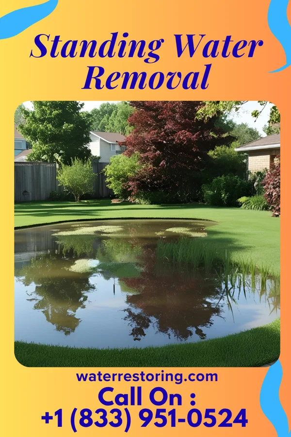 Standing Water Removal in Jenkins, KY
